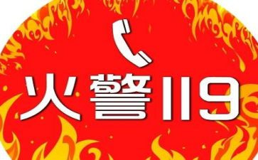 企业119活动策划7篇
