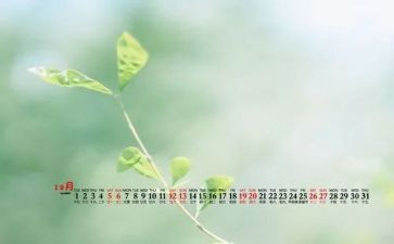 幼儿园12月小班月计划6篇
