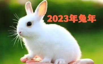 2023年我想的演讲稿7篇