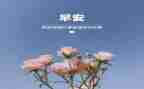 幼儿园教师3月份工作总结8篇