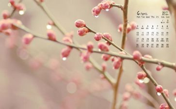幼儿园大大班4月份工作总结8篇