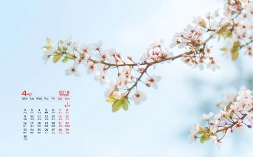 酒店4月份工作总结7篇