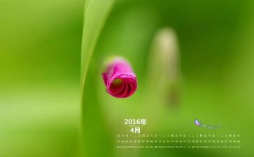 幼儿园小班4月份月总结5篇