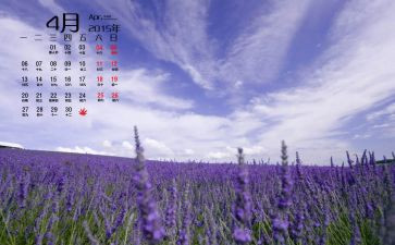 4月份个人工作总结8篇