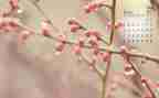 幼儿小班4月份工作总结5篇