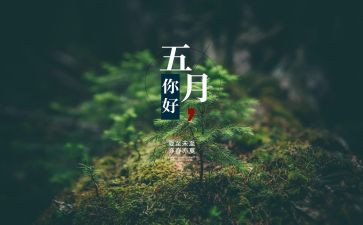 2024年幼儿园5月份工作总结6篇
