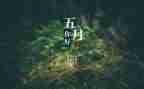 5月份的工作计划通用5篇
