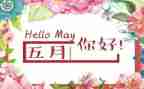 幼儿园5月分安全工作总结5篇