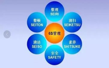 6s后心得体会精选5篇