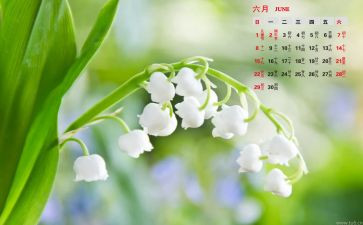 6月个人总结7篇