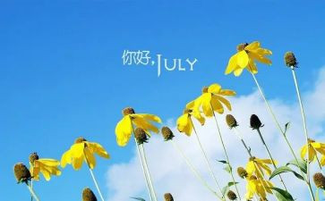 6月安全生产月总结范文6篇