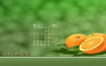 6月个人总结模板6篇