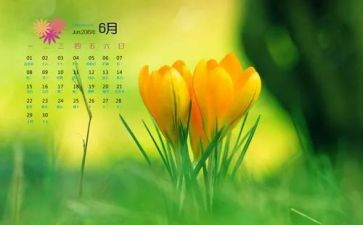 6月份个人总结6篇