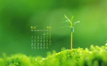 物业6月工作总结6篇