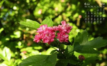 6月份工作总结范文8篇