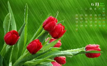 6月安全工作总结通用5篇