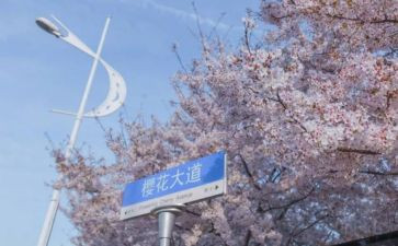 985法学生简历模板范文7篇