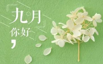 幼儿园小班教师9月份工作总结5篇