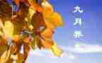 幼儿园9月份的工作总结优质7篇