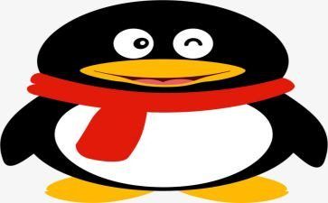 2024qq年度总结7篇