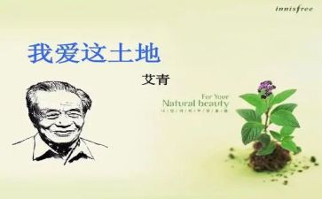 艾青诗选的诗的读后感精选8篇