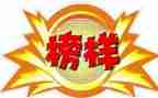 2024榜样8心得体会精选6篇