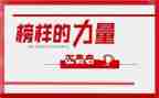 榜样8教师心得体会8篇