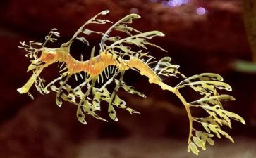 我的生物老师作文7篇