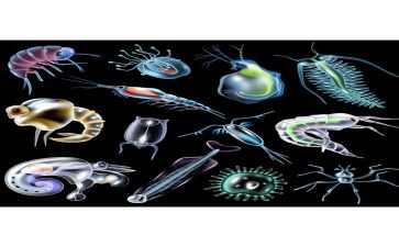 生物备课组长工作总结7篇
