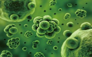 生物教师工作述职报告6篇
