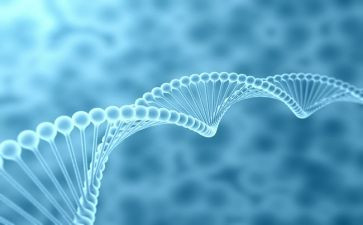 生物教师工作计划推荐6篇
