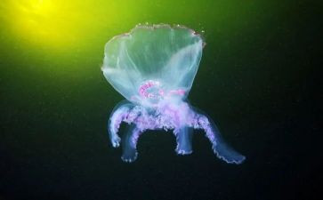 初二生物上学期工作总结5篇