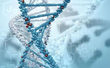 生物安全实验室自查报告7篇