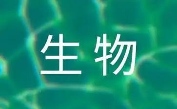 生物教师工作计划8篇