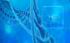 生物备课组学期工作计划5篇