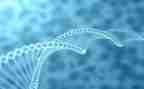 八生物备课组工作总结参考7篇