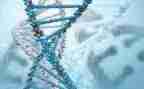 生物安全实验室自查报告7篇