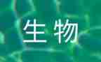 生物七上教师教学个人总结5篇