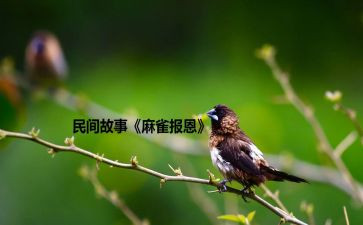 感恩知恩报恩的演讲稿5篇