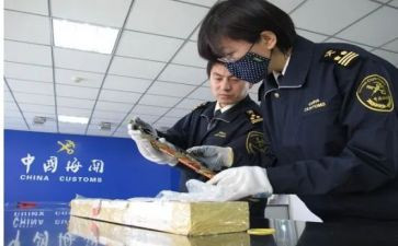 报关的心得体会7篇