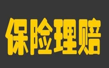 保险的个人工作总结参考5篇