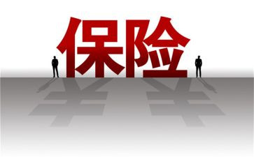 保险类个人工作总结模板6篇