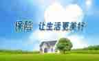 2024年保险工作总结报告8篇