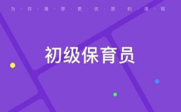 保育的心得体会最新8篇
