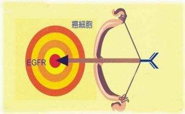医院申请靶向药申请书模板8篇
