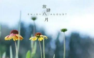 八月份教师月工作总结5篇