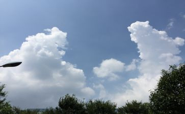 我家的变化优秀作文7篇