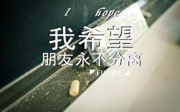 毕业生自我鉴定范文推荐6篇