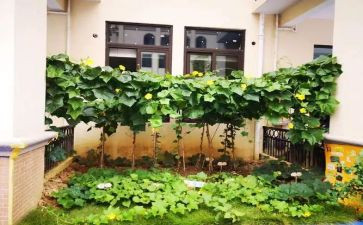 菜市场调查报告范文5篇