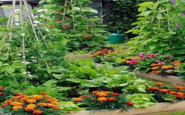 湘菜营销活动方案策划最新8篇